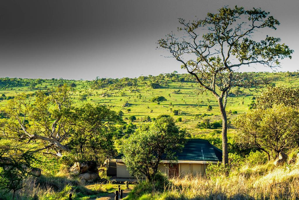 Lemala Kuria Hills Lodge Banagi Eksteriør billede